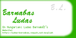 barnabas ludas business card